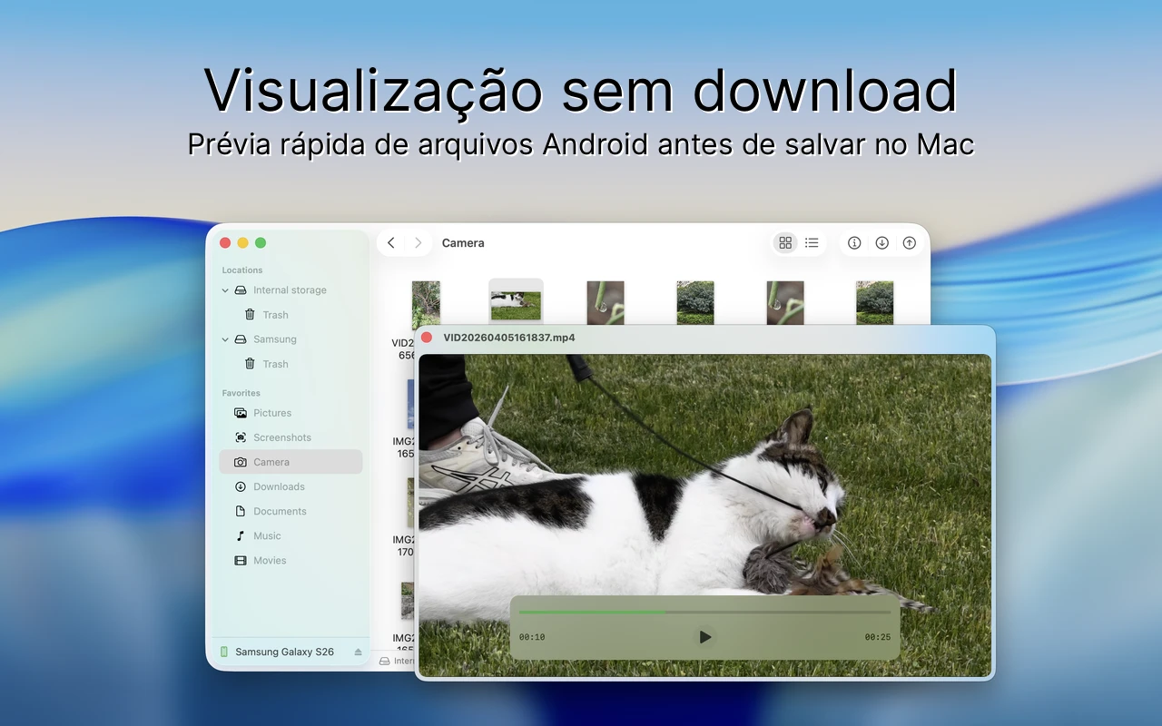 Interface do Findroid - Quick Look